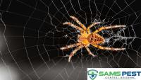 Sams Spider Control Brisbane image 3
